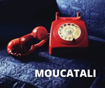 La Moucat A Li | RSS